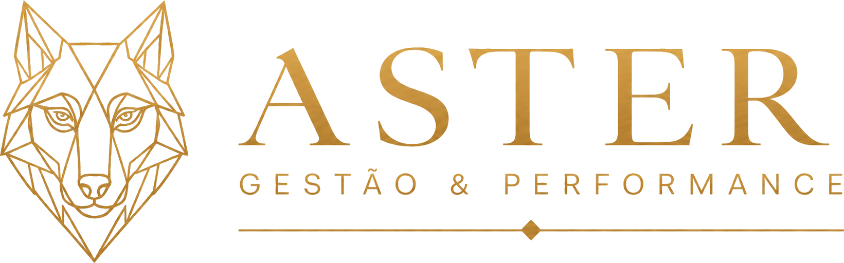 Aster Gestão & Performance